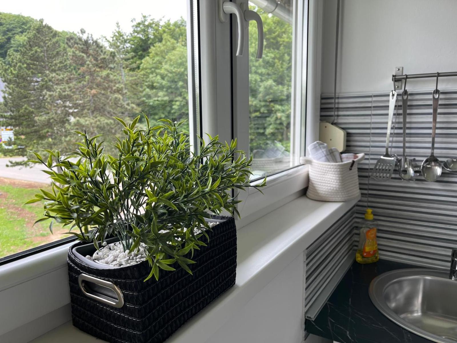Eva Luxury Rooms & Apartments Plitvicka Jezera Bagian luar foto